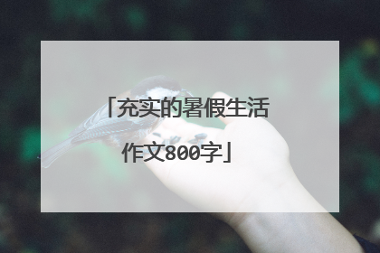 充实的暑假生活作文800字