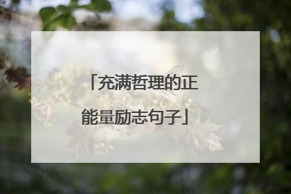 充满哲理的正能量励志句子
