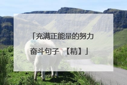充满正能量的努力奋斗句子 【精】