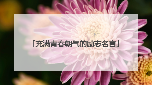 充满青春朝气的励志名言