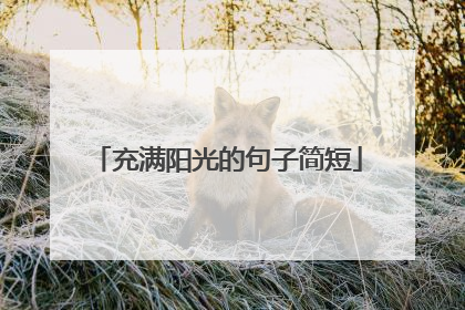 充满阳光的句子简短