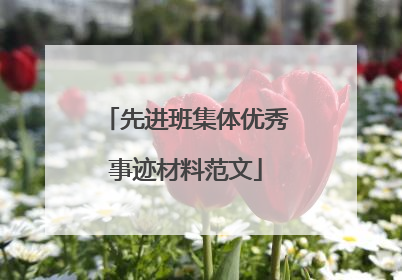 先进班集体优秀事迹材料范文