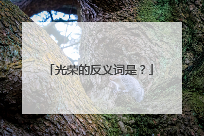 光荣的反义词是？