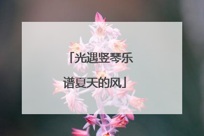 光遇竖琴乐谱夏天的风