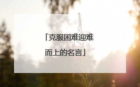 克服困难迎难而上的名言