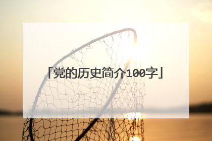 党的历史简介100字