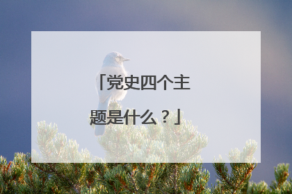 党史四个主题是什么？