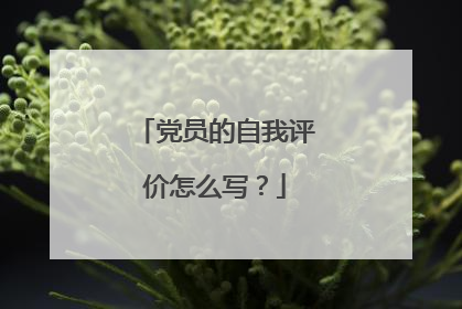 党员的自我评价怎么写?