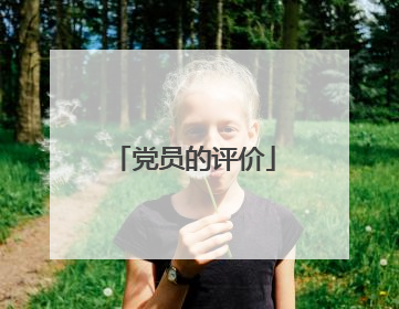 党员的评价