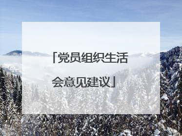 党员组织生活会意见建议
