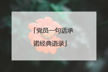 党员一句话承诺经典语录