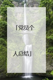 党员个人总结