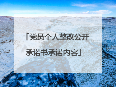 党员个人整改公开承诺书承诺内容