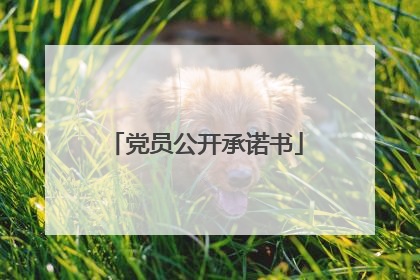 党员公开承诺书