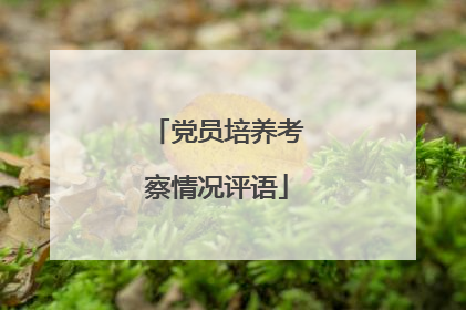 党员培养考察情况评语