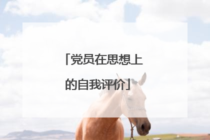 党员在思想上的自我评价
