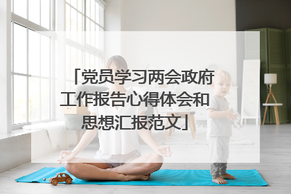 党员学习两会政府工作报告心得体会和思想汇报范文