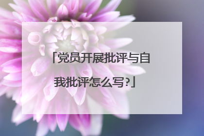 党员开展批评与自我批评怎么写?