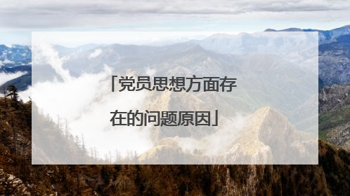 党员思想方面存在的问题原因