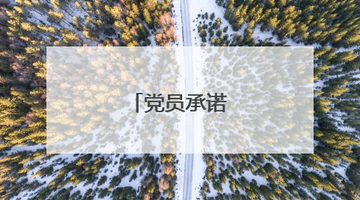 党员承诺书怎么写