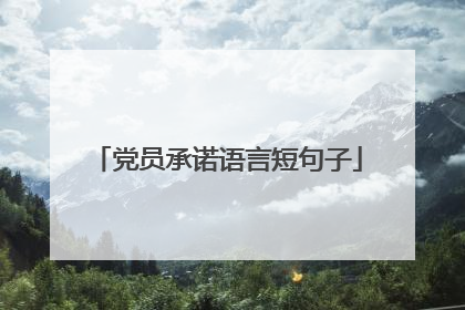 党员承诺语言短句子