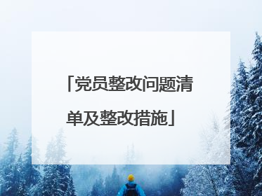 党员整改问题清单及整改措施