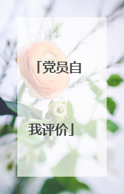 党员自我评价