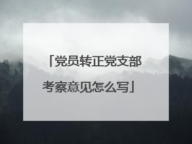 党员转正党支部考察意见怎么写