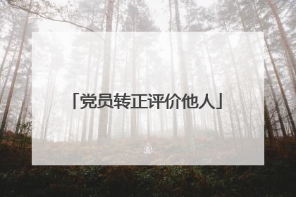 党员转正评价他人