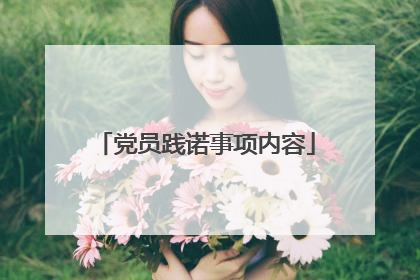 党员践诺事项内容