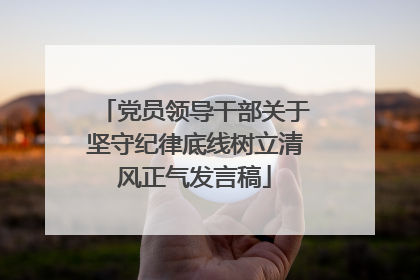 党员领导干部关于坚守纪律底线树立清风正气发言稿