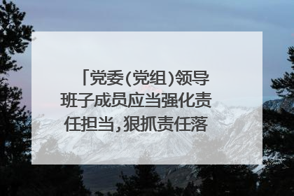 党委(党组)领导班子成员应当强化责任担当,狠抓责任落实,增强什么?