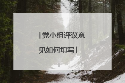 党小组评议意见如何填写
