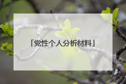 党性个人分析材料
