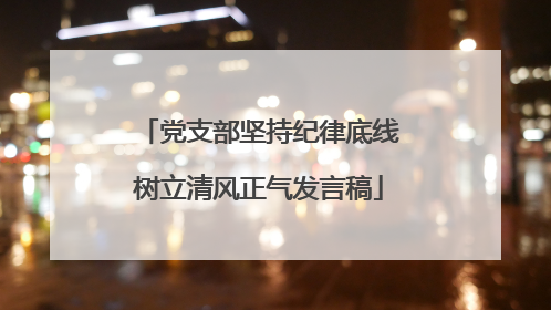党支部坚持纪律底线树立清风正气发言稿