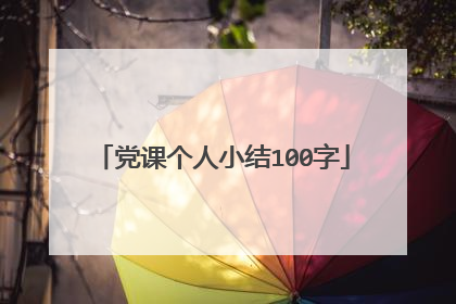 党课个人小结100字