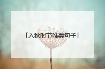 入秋时节唯美句子