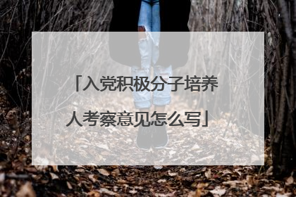 入党积极分子培养人考察意见怎么写