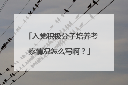 入党积极分子培养考察情况怎么写啊?