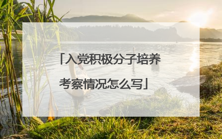 入党积极分子培养考察情况怎么写