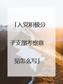 入党积极分子支部考察意见怎么写