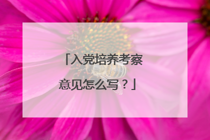 入党培养考察意见怎么写？