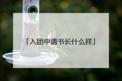 入团申请书长什么样