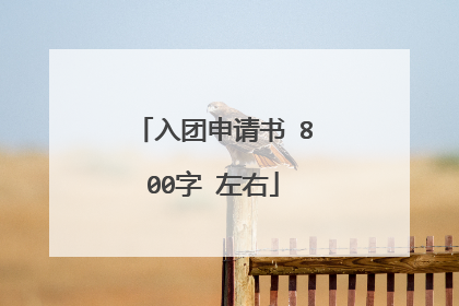 入团申请书 800字 左右