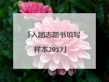 入团志愿书填写样本2017