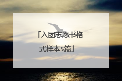 入团志愿书格式样本5篇