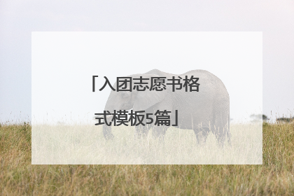 入团志愿书格式模板5篇