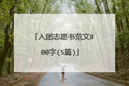 入团志愿书范文800字(5篇)