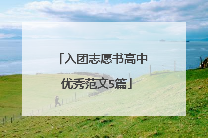 入团志愿书高中优秀范文5篇