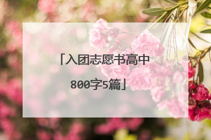 入团志愿书高中800字5篇